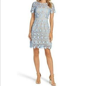 Eliza J Blue Lace Dress